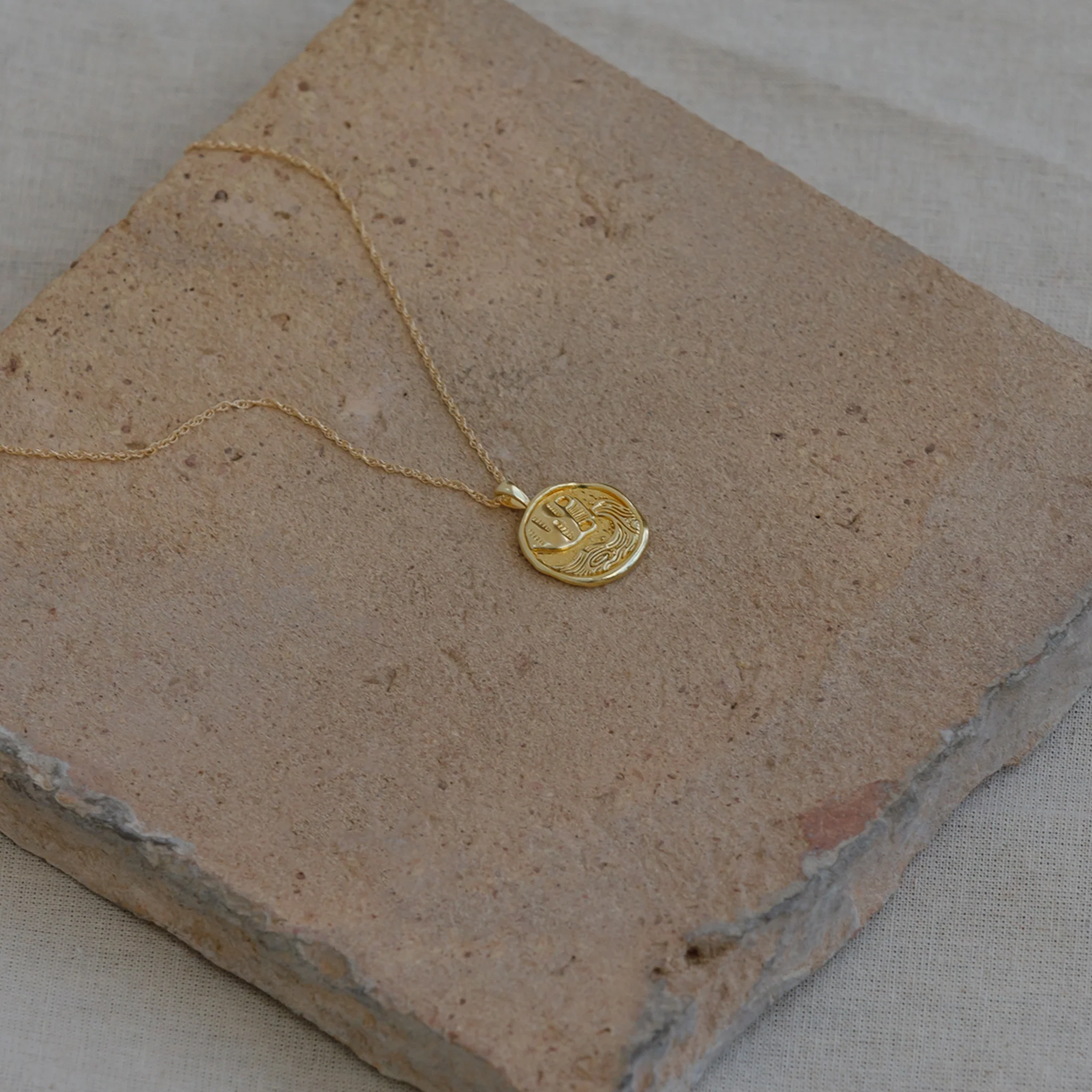 Aquarius Zodiac Coin Pendant Necklace - Image 8